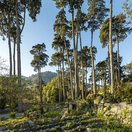 Sintra Marmoris Palace-3
